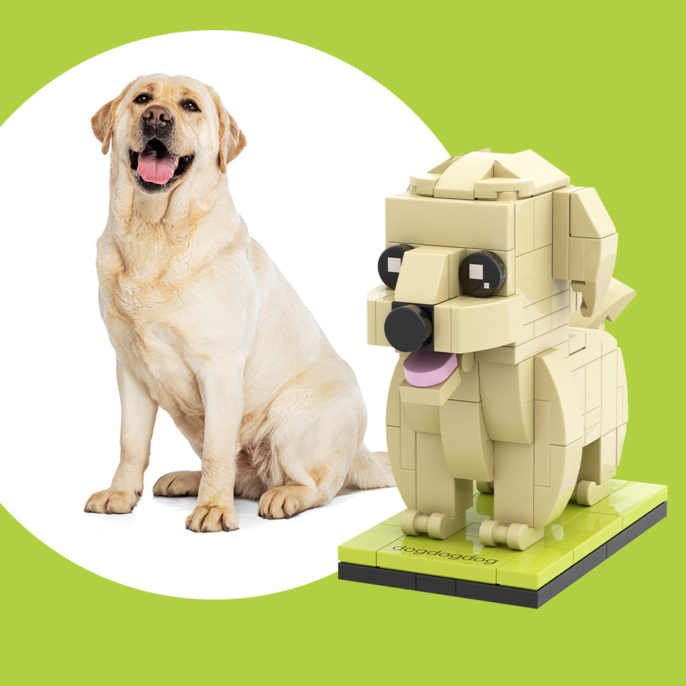 Fully Body Customizable Labrador 1 Dog Photo Custom Brick Figures Personalized Interlocking Plastic Toy Brick Me Figures Customized Labrador Only