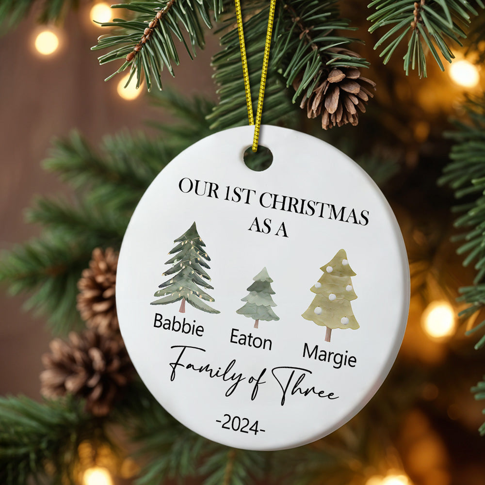 Personalized Baby's First Christmas Ornament Family of Three Christmas Ornament for Christmas Gift