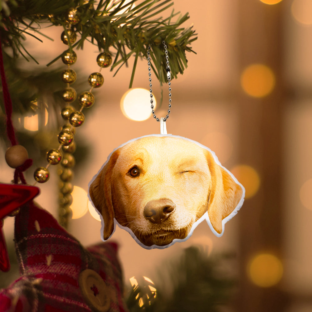 Custom Pet Face Mini Plush Hanging Ornaments with Voice Decorations for Christmas Gifts